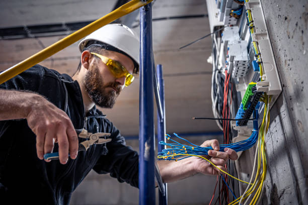 Best Electrician for Home Renovation  in Genoa, OH
