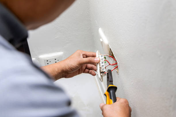 Best Home Electrical Repair  in Genoa, OH